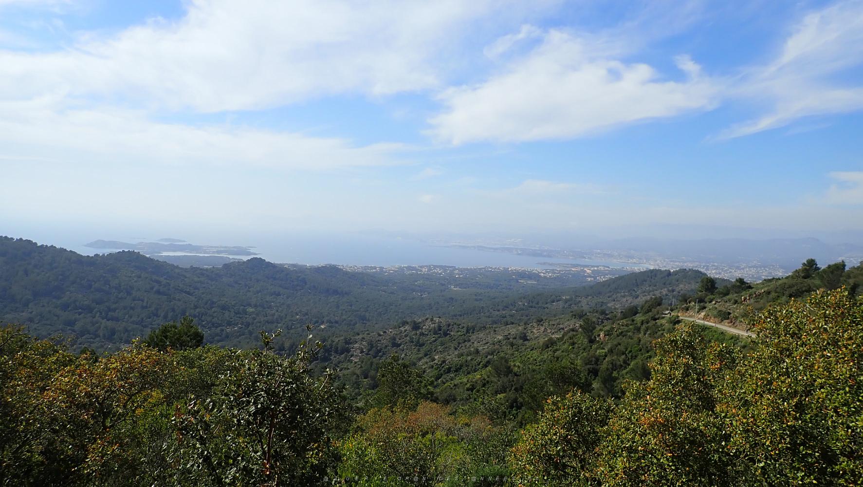 17 au lion Baie de la Ciotat Bandol et sanary.JPG